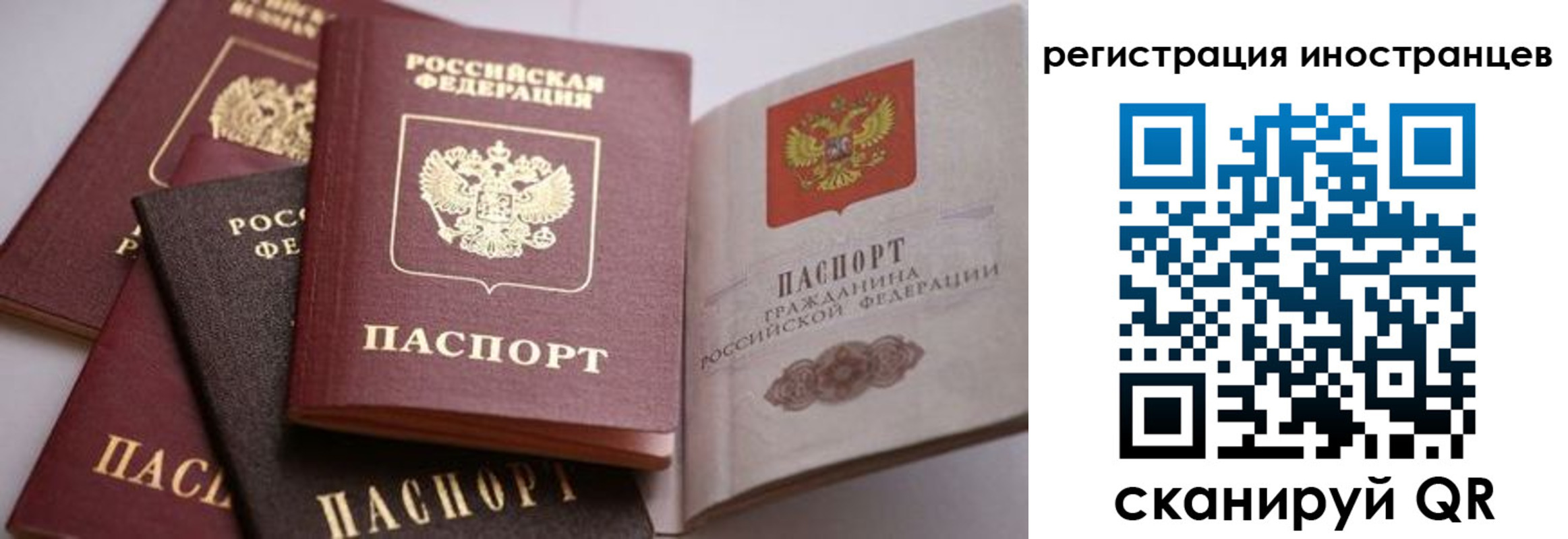 прописка штамп в Коми